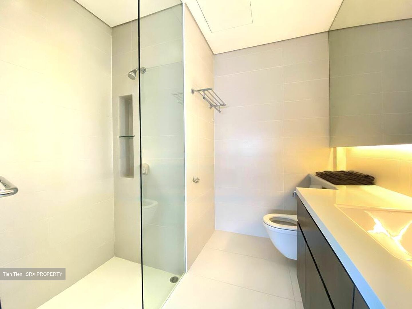 The Luxe (D9), Condominium #571766501